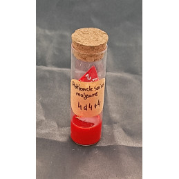 Potion de soins - Majeure